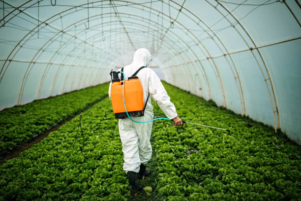 Best Mosquito Control Services  in East Camden, SC