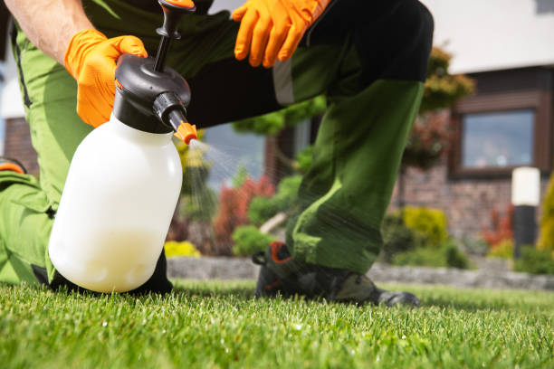 Best Bed Bug Extermination  in East Camden, SC