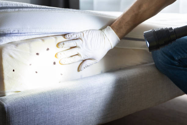 Best Exterminator Services  in East Camden, SC